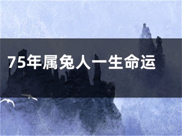 75年属兔人一生命运