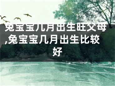 兔宝宝几月出生旺父母,兔宝宝几月出生比较好