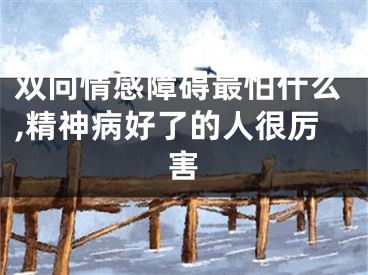 双向情感障碍最怕什么,精神病好了的人很厉害