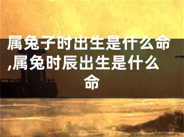 属兔子时出生是什么命,属兔时辰出生是什么命