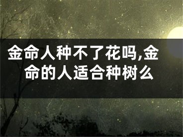 金命人种不了花吗,金命的人适合种树么