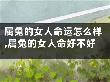 属兔的女人命运怎么样,属兔的女人命好不好