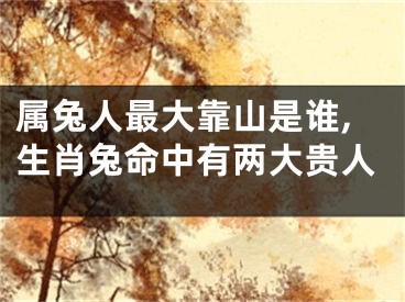 属兔人最大靠山是谁,生肖兔命中有两大贵人