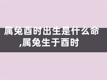 属兔酉时出生是什么命,属兔生于酉时