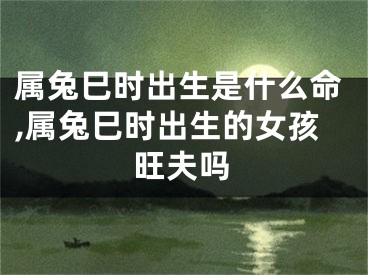 属兔巳时出生是什么命,属兔巳时出生的女孩旺夫吗