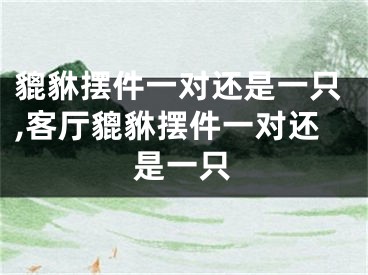 貔貅摆件一对还是一只,客厅貔貅摆件一对还是一只