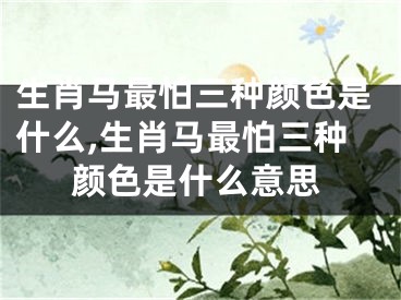 生肖马最怕三种颜色是什么,生肖马最怕三种颜色是什么意思