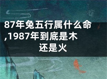 87年兔五行属什么命,1987年到底是木还是火