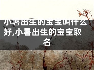 小暑出生的宝宝叫什么好,小暑出生的宝宝取名