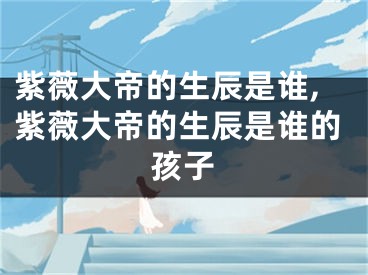 紫薇大帝的生辰是谁,紫薇大帝的生辰是谁的孩子