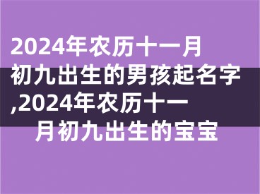 2024年农历十一月初九出生的男孩起名字,2024年农历十一月初九出生的宝宝