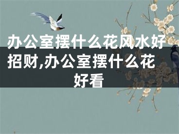 办公室摆什么花风水好招财,办公室摆什么花好看