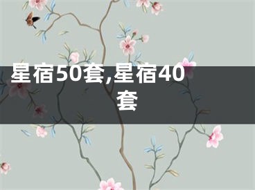 星宿50套,星宿40套