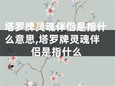 塔罗牌灵魂伴侣是指什么意思,塔罗牌灵魂伴侣是指什么
