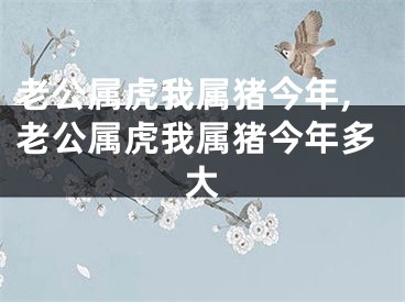 老公属虎我属猪今年,老公属虎我属猪今年多大
