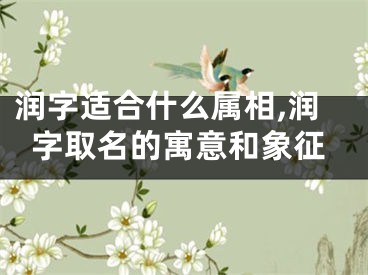 润字适合什么属相,润字取名的寓意和象征