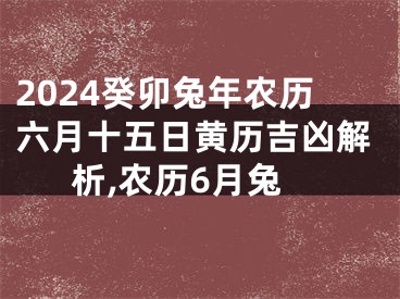 2024癸卯兔年农历六月十五日黄历吉凶解析,农历6月兔