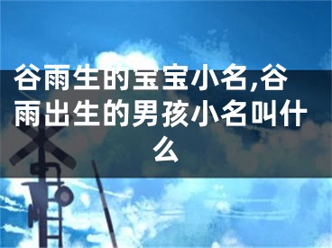 谷雨生的宝宝小名,谷雨出生的男孩小名叫什么