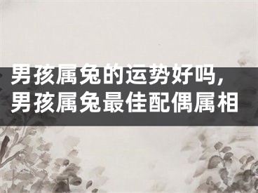 男孩属兔的运势好吗,男孩属兔最佳配偶属相