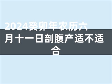 2024癸卯年农历六月十一日剖腹产适不适合