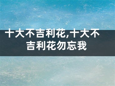 十大不吉利花,十大不吉利花勿忘我