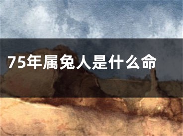 75年属兔人是什么命
