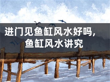 进门见鱼缸风水好吗,鱼缸风水讲究