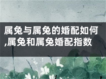 属兔与属兔的婚配如何,属兔和属兔婚配指数