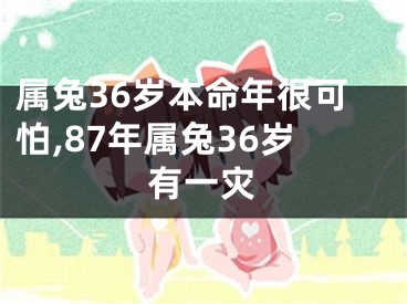 属兔36岁本命年很可怕,87年属兔36岁有一灾