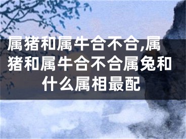 属猪和属牛合不合,属猪和属牛合不合属兔和什么属相最配