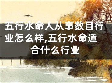 五行水命人从事数目行业怎么样,五行水命适合什么行业