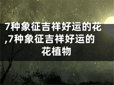 7种象征吉祥好运的花,7种象征吉祥好运的花植物
