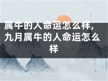 属牛的人命运怎么样,九月属牛的人命运怎么样