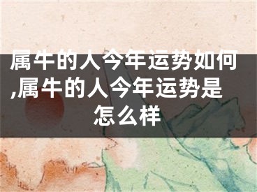 属牛的人今年运势如何,属牛的人今年运势是怎么样