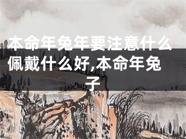 本命年兔年要注意什么佩戴什么好,本命年兔子