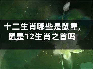 十二生肖哪些是鼠辈,鼠是12生肖之首吗