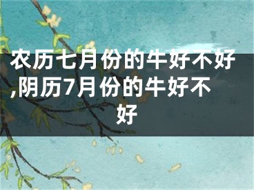 农历七月份的牛好不好,阴历7月份的牛好不好