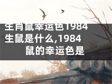 生肖鼠幸运色1984生鼠是什么,1984鼠的幸运色是