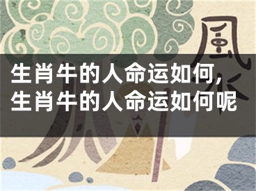 生肖牛的人命运如何,生肖牛的人命运如何呢