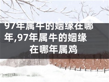 97年属牛的姻缘在哪年,97年属牛的姻缘在哪年属鸡