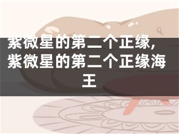 紫微星的第二个正缘,紫微星的第二个正缘海王
