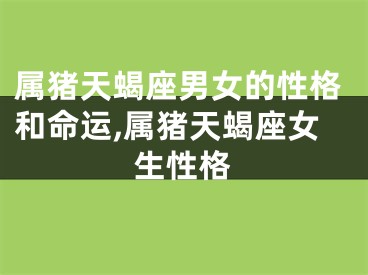 属猪天蝎座男女的性格和命运,属猪天蝎座女生性格