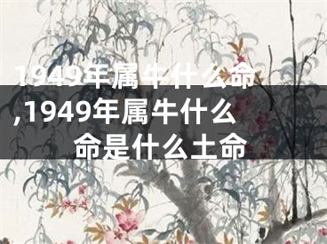 1949年属牛什么命,1949年属牛什么命是什么土命
