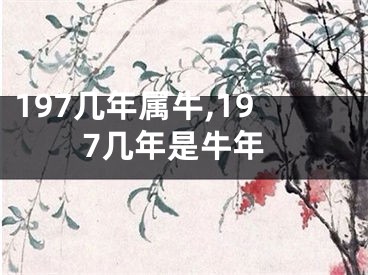 197几年属牛,197几年是牛年