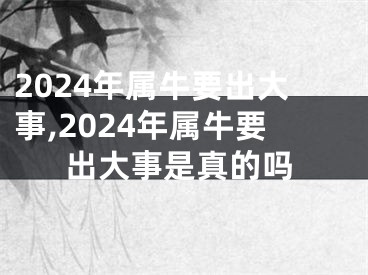 2024年属牛要出大事,2024年属牛要出大事是真的吗