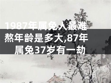 1987年属兔人最难熬年龄是多大,87年属兔37岁有一劫