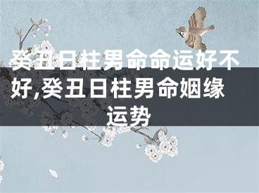癸丑日柱男命命运好不好,癸丑日柱男命姻缘运势