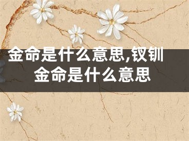 金命是什么意思,钗钏金命是什么意思