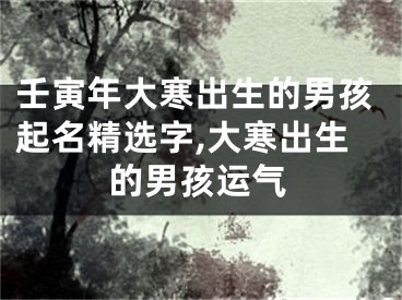 壬寅年大寒出生的男孩起名精选字,大寒出生的男孩运气