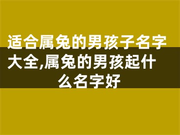 适合属兔的男孩子名字大全,属兔的男孩起什么名字好